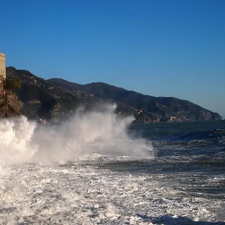 Da Cate Monterosso al Mare